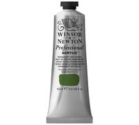 Winsor & Newton Professional - Pintura acrílica, tubo 60 ml, color verde savia permanente