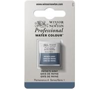 Winsor & Newton Professional Watercolor Half Pan Payne's Gray