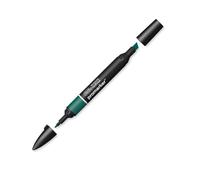 Winsor & Newton Rotulador ProMarker, Holly (G724), Verde
