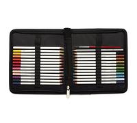 Winsor & Newton Studio Collection - Set de lápices acuarelables en estuche con cremallera para dibujo, ilustración, bocetos para artistas e ilustradores