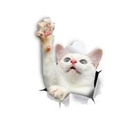 Winston & Bear 3D Cat Palegs - 2 paquete - calcomanas de gato de alcance blanco para pegatinas de pared para dormitorio - nevera - bao - habitacin