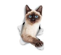 Winston & Bear Adhesivos de gato 3D - Pack 2 - Gato siamés Breakout Stickers para pared, pegatinas de Gato siamés de nevera