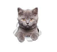 Winston & Bear Calcomanías de pared de gato de pelo corto británico, paquete de 2, adhesivo para inodoro y calcomanía 3D para coche, regalos para amantes de los gatitos grises