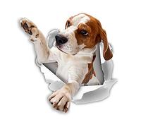 Winston & Bear Etiquetas engomadas del perro 3D - 2 Pack - Alcanzar Beagle pegatinas para la pared, Frigorífico, Aseo y más Beagle Pegatinas