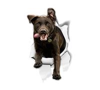 Winston & Bear Etiquetas engomadas del perro 3D - 2 Pack - Emocionado Labrador pegatinas para la pared, Frigorífico, Aseo Y Más Pegatinas Labrador
