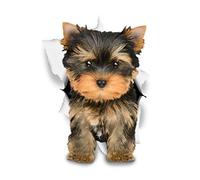 Winston & Bear Etiquetas engomadas del perro 3D - 2 Pack - Yorkie adorable para la pared, Frigorífico, Aseo y más Husky Pegatinas