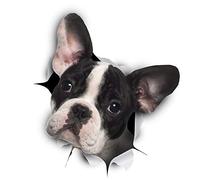 Winston & Bear Etiquetas engomadas del perro 3D - 2 Paquete - Blanco y Negro franceses dogo pegatinas para la pared, Nevera, WC y Más Frenchie Pegatinas