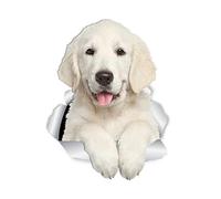 Winston & Bear Magníficos adhesivos de pared de perro Golden Retriever - 2 unidades - Golden Retriever 3D pegatinas para paredes, coches, inodoro y más - 2 unidades Golden Retriever Regalos