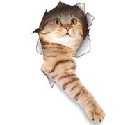 Winston & Bear Paquete de 2 pegatinas Globales con diseño de gato en 3D, pegatinas para pared, nevera, inodoro y más