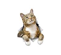 Winston & Bear Pegatinas de gato 3D - Pack 2 - ponderación Tabby pegatinas para pared, pegatinas de gato de nevera