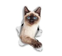 Winston & Bear Pegatinas de Gato 3D - Paquete con 2 - Vinilos al Por Menor de Gato Para la Pare - Adhesivos Gato Coche - Auto (Gato Siames)