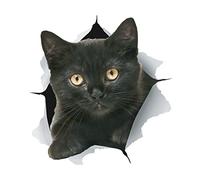 Winston & Bear Pegatinas de Gato 3D - Paquete con 2 - Vinilos al Por Menor de Gato Para la Pare - Coche - Auto (Gatito Negro)