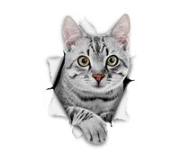 Winston & Bear Pegatinas de Gato 3D - Paquete con 2 - Vinilos al Por Menor de Gato Para la Pare - Coche - Auto (Gato Tabby Gris)