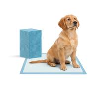 Wintem - Juego de 25 alfombrillas higiénicas para perros de 60 x 90 cm, súper absorbentes con antiolor y fórmula 3GSAP, alfombrillas higiénicas con 4 esquinas adhesivas para entrenamiento y uso diario