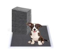 Wintem - Juego de Alfombrillas para Perros 60 × 60 al carbón Activo con Adhesivos antiolores, absorción SAP rápida para adiestramiento de Cachorros e higiene Diaria, dermatológicamente seguras y