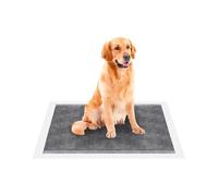 Wintem - Juego de Alfombrillas para Perros 60 × 90 al carbón Activo con Adhesivos antiolores, absorción SAP potenciada, Uso para Entrenamiento y Apoyo higiénico doméstico, dermatológicamente seguras