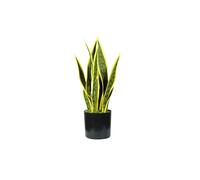 Wintem Planta de Sansevieria Artificial de Polietileno con 12 Hojas, Altura 45 cm, Planta Artificial de Interior, Maceta con Musgo Ø12,5 x 11,5 cm, decoración del hogar