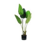 Wintem Strelitzia - Planta Artificial con 5 Hojas, 100 cm, Maceta con Musgo Natural, ambientes Interiores