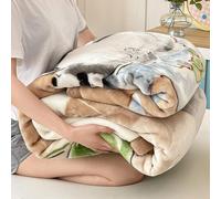 Winter Blankets Mink Pounds Heavy Plush 2 Ply Flowers Full Soft Cozy Raschel Blanket Thick Bed and Warm Large Fluffy Sofa Throw Reversible Korean Double for Travel Living Room(180×220cm（3000）,12#)