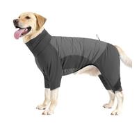 Winter Coat, Cold Weather High Collar Clothing, Adjustable Winter Pet, Warm and Long Lasting for Dogs, Hiking, Walking, Camping, 7.87x7.48x1.38 Inches, Gray, Red