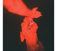 Winter, Eli - A Trick of the Light [Vinilo]