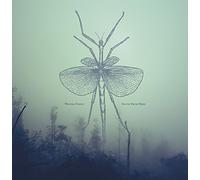 Winter Family - South from here (vinyl) [Vinilo]