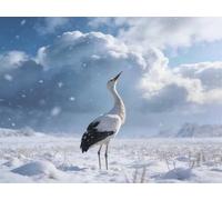 Winter Grasslands 700 Piece Jigsaw Puzzles for Adults, Colourful, Challenging & Brainteasing Adult Puzzles 700 Pieces Cranes, Fun jigsaws for The Whole Family 20x15 Inch