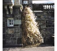 Winter Inside the Dream.Dreamd