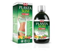 WINTER PLANTA SLIM 12ERBE500ML