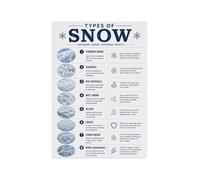 Winter Snow Varieties Poster Weather Identification Art