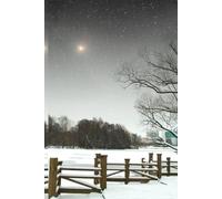Winter Stroll in the Park Gratitude Journal: 6 x 9 100 lined pages in hardcover notebook