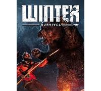 Winter Survival (PC) - Steam Account - GLOBAL