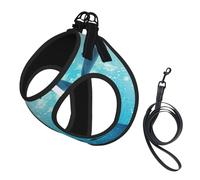 Winter The Dolphin - Arnés para perro con estampado de delfín, tamaño pequeño y conjunto de correa, chaleco suave y ligero para cachorros, arnés de malla transpirable para mascotas