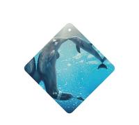 Winter The Dolphin Printing - Ambientador para coche, 10 unidades, hojas de ambientador con cuerda para coches y hogar