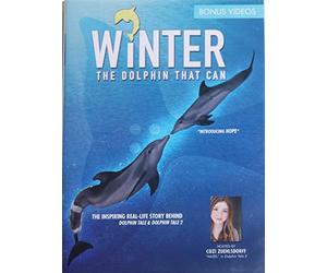 Winter, The Dolphin That Can