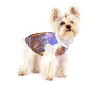 Winter Under The Sunshine - Camisa de algodón suave y transpirable para perros, gatos, niños, niñas, mascotas, adecuada para mascotas pequeñas