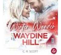Winter Wonder In Waydine Hill (audiolibro)