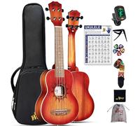 Winzz Ukelele soprano de 21 pulgadas para niños principiantes y adultos principiantes, madera de caoba, regalos únicos (cuerdas de carbono, mate Sunburst)