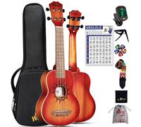 Winzz Ukelele soprano para niρos y adultos principiantes Kit de inicio de ukelele de caoba de 21 pulgadas con tabla de acordes y capo Regalos de