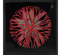 Wipers - the circle LP