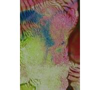 WiR Notizheft #09: unter dem gleichen Himmel (WiR Notizhefte #01-#10, Edition 1)