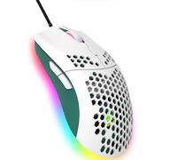 Wired Gaming Mouse, 6 RGB Lighting 6400 DPI Programmable USB Gaming Mice with 6 buttons, Honeycomb Shell Ergonomic Design for PC Gamers and Xbox and PS4 Users White Green