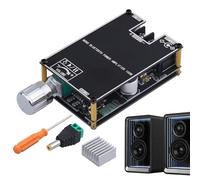 Wireless Audio Amplifier Board, 100 W Mono Speaker System, 3,5 x 1,77 x 0,78 pulgadas Portable Subwoofer Module, High Power Sound Booster, Bass Boost Audio Accessory for Outdoor Events