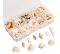 Wisebom 1 Set Cuentas De Concha Natural Conchas De Mar Decoracion Conchas Marinas Mixtas Encantos de Concha Mixta Conchas de Conchas en Espiral