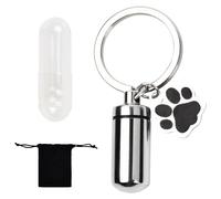 Wisebom Llavero de Urna para Cenizas Mascotas, Collar de Urna de Cenizas de Perro, Colgante Conmemorativo de Urna de Acero INOX, Joyería de Cremación de Cenizas de Gato (Llavero)