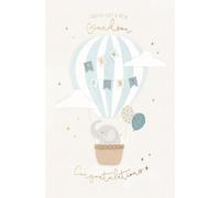 Wishing Well Studios - Tarjeta de felicitación de lujo con texto en inglés "You've Got A New Grandson" (20,3 x 12,7 cm)