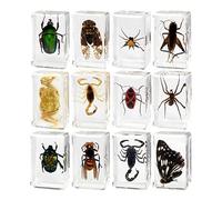 wisoolkic Colección de Animales, Juguetes científicos, Juguetes de Aprendizaje temprano, Desarrollo sensorial, fomento la curiosidad, promoción Las Habilidades observación para niños, colección