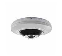 Wisstar + WP-NFF5E-IR Cámara ojo de pez IP 5Mpx, IR 8 m, óptica fija, WDR 120dB, 12Vdc/PoE.
