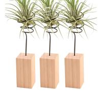 Wisylizv Air Plants Live Holders | Airplant Display Rack Plant Holder Set Of 3 | Air Plant Stand Holder Tillandsia Display Rack For House Plants, For Flower Lovers
