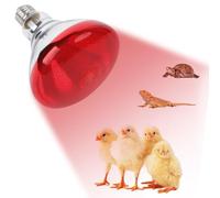 Wisylizv Heat Lamp For Chickens,250W Infrared Safe Thick Heating Bulbs,Heat Light Bulbs | For Brooder, Coops, Incubator, Brooding, Pets, Reptiles, Lizards, Ducks, Livestock, Farm, Dogs, Sheep